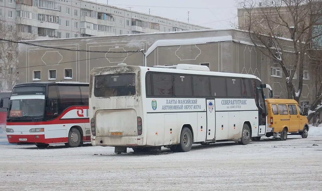 ГОЛАЗ 529112. Автобус Омск Ханты-Мансийск. Автобус НЕФАЗ 2023. Омск-Ханты-Мансийск автобус автовокзал.