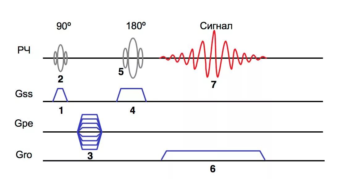 Эхо ха. Последовательность спиновое Эхо. Спин Эхо мрт. Импульсная последовательность т2. Импульсные последовательности в мрт.
