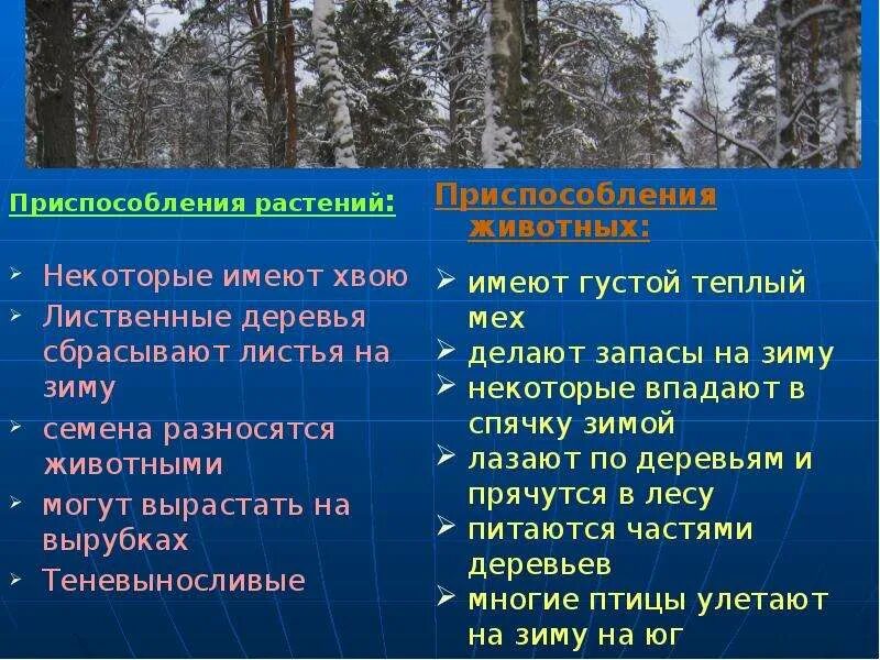Среда обитания природные зоны