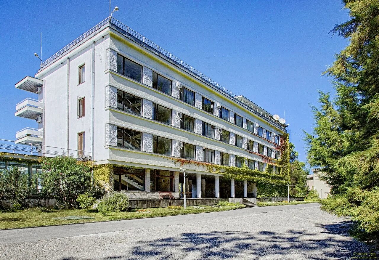 Пицунда абхазия санаторий сосновая роща. Пансионат сосновая роща пицунда. Абхазия сосновая. Сосновая роща абхазия пицунда. Абхазия отель сосновая роща в пицунде.