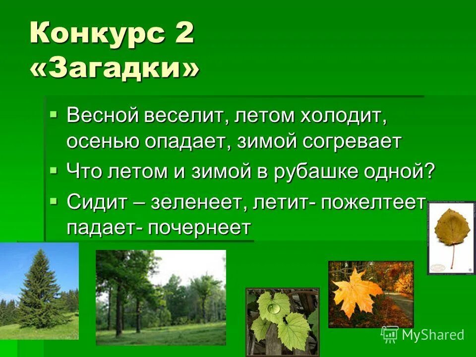 Весной веселит летом холодит загадка. Весной веселит летом холодит зимой согревает.