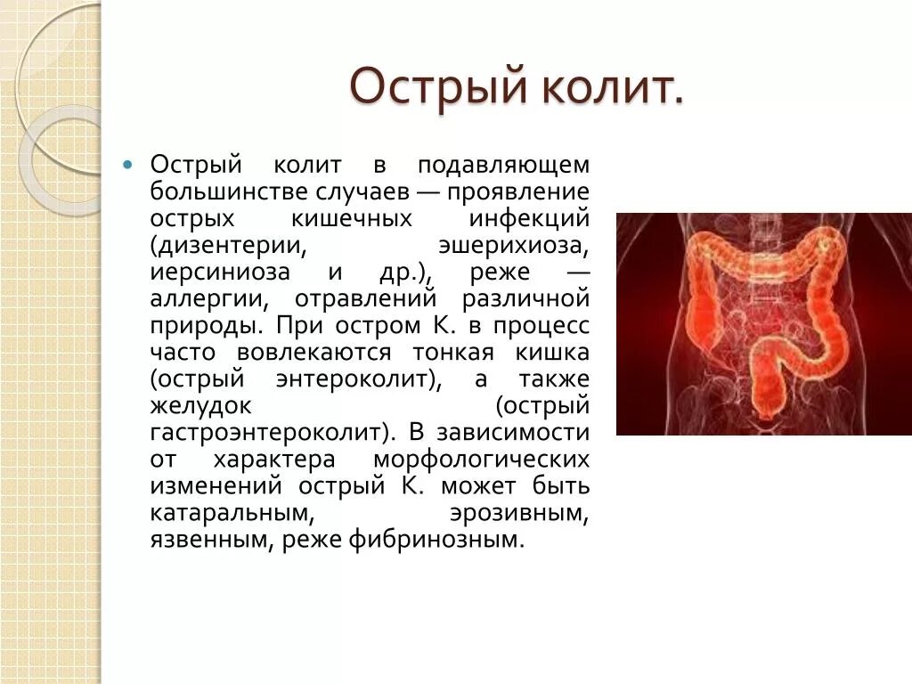 Язвенный хронический энтероколит. Колиты и энтериты кишечника. Колит слабость