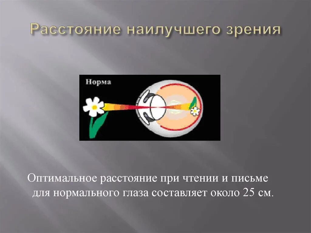 Расстояние наилучшего зрения. Зрение с точки зрения физики. Глаз с точки зрения физики. Нормальное зрение с точки зрения физики.