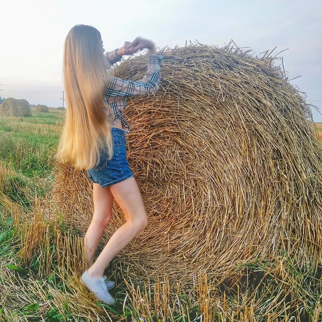 Как сделать сене. Волосы сено. волосы цвета сена. волосы как сено. блондинка с длинными волосами на сене.
