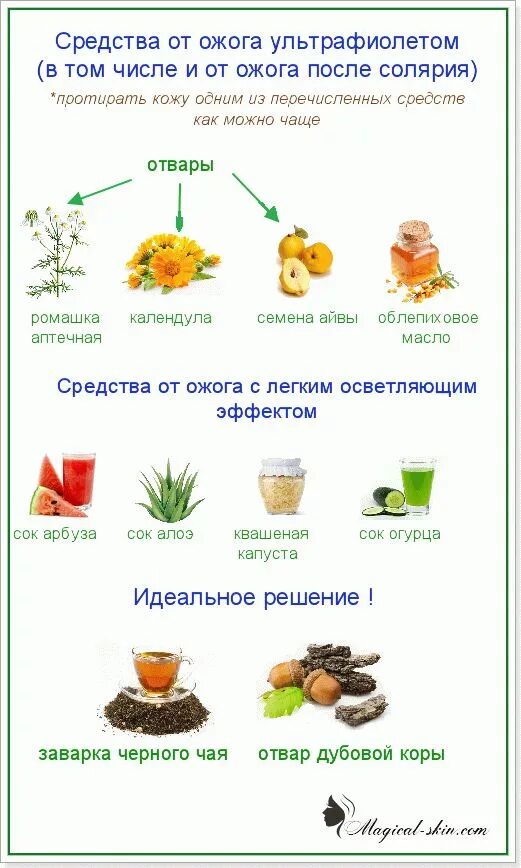 Лечение ожогов народными средствами. Народные средства от ожога. Народные методы при ожогах. Народные средства от ожог Ах. Травы от ожогов солнца.