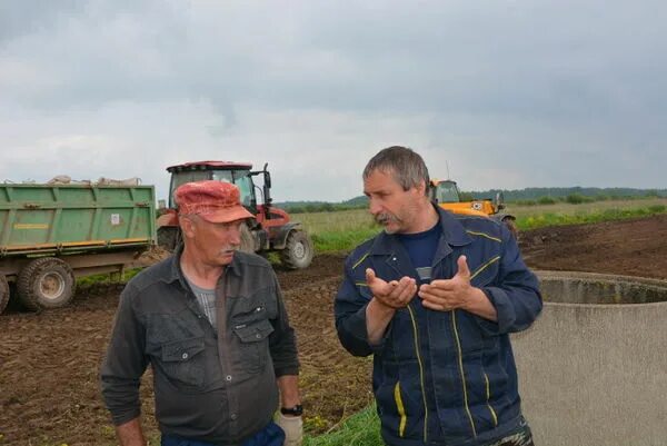 Растениеводство в Новгородской области. Волот Новгородская область. Посёлок Волот Новгородской области. Животноводство Новгородской области. Погода в волоте новгородской области на 10