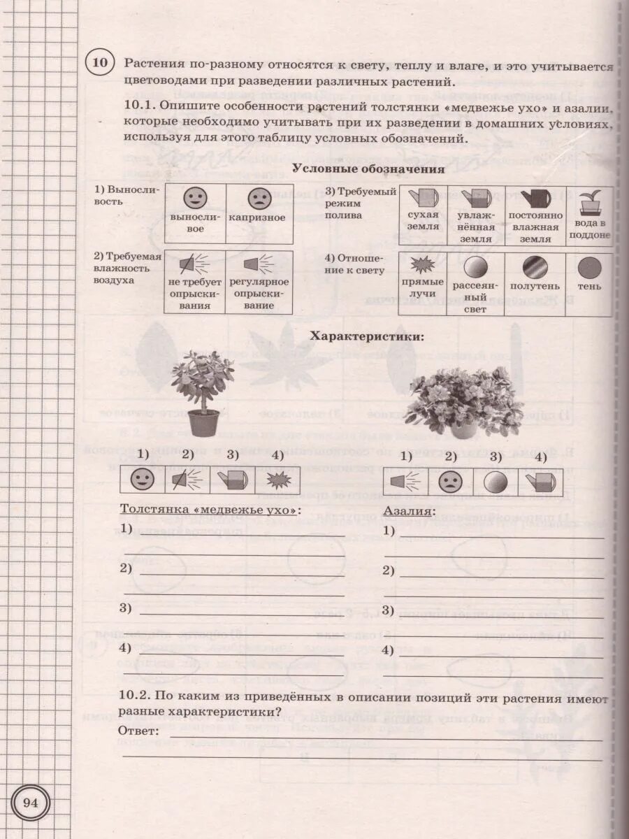 Впр по биологии 6 класс проходить