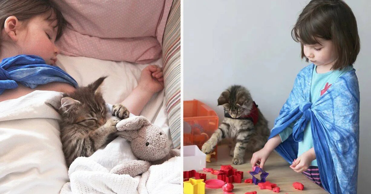 Про девочку и кота