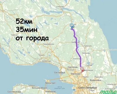 Саперное санкт петербург автобус