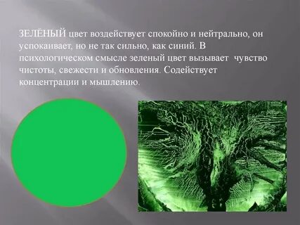 Цвет концентрации