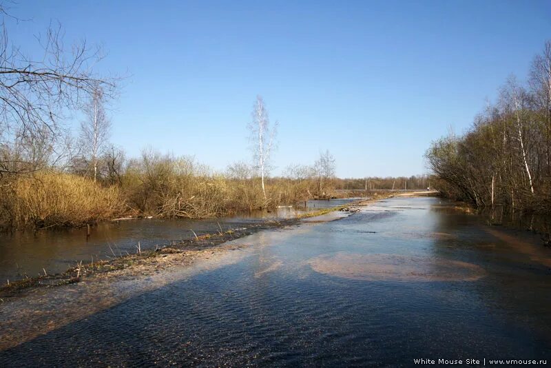 Подъем воды в клязьме на сегодня. Разлив реки Клязьма. Разлив Клязьмы 2023. Разлив реки Петушинский район. Разлив Клязьмы 2023 дорога Покров - Марково.