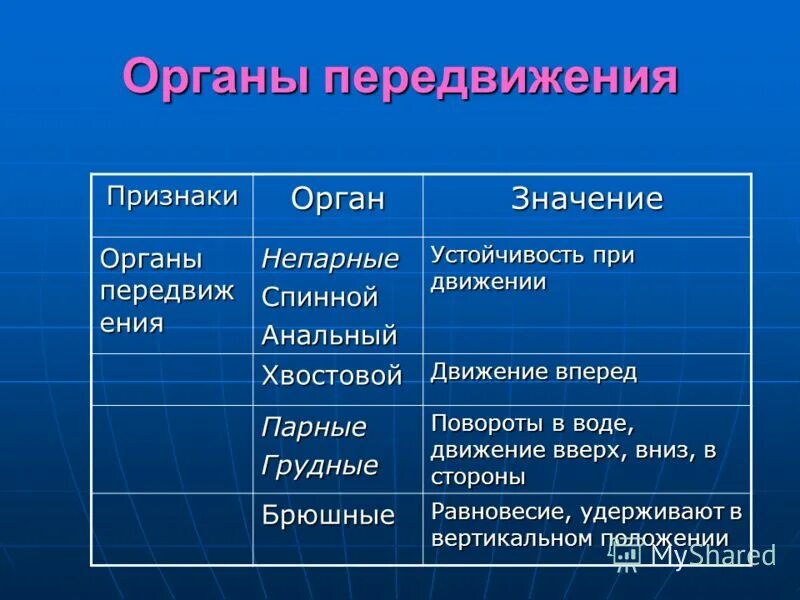 Каковы особенности строения и жизнедеятельности. Органы передвижения рыб. Органы передвижения таблица. Органы передвижения рыб таблица. Органы передвижения характеристика.