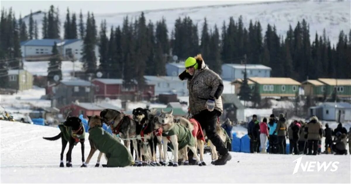 Возвращение аляски. Аляска Iditarod. Русские на Аляске. Аляска Возвращение в Россию.