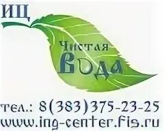 Чисто чисто новосибирск