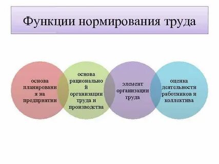 Трудовая функция и норма труда