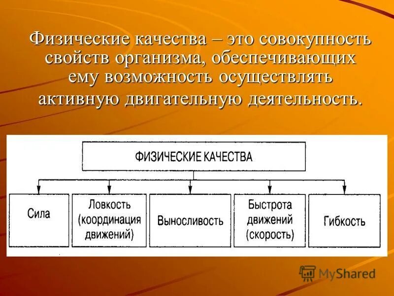 физические характеристики организма человека. характеристика физических качеств. характеристика физических качеств. физическое здоровье. перечислите основные физические качества.