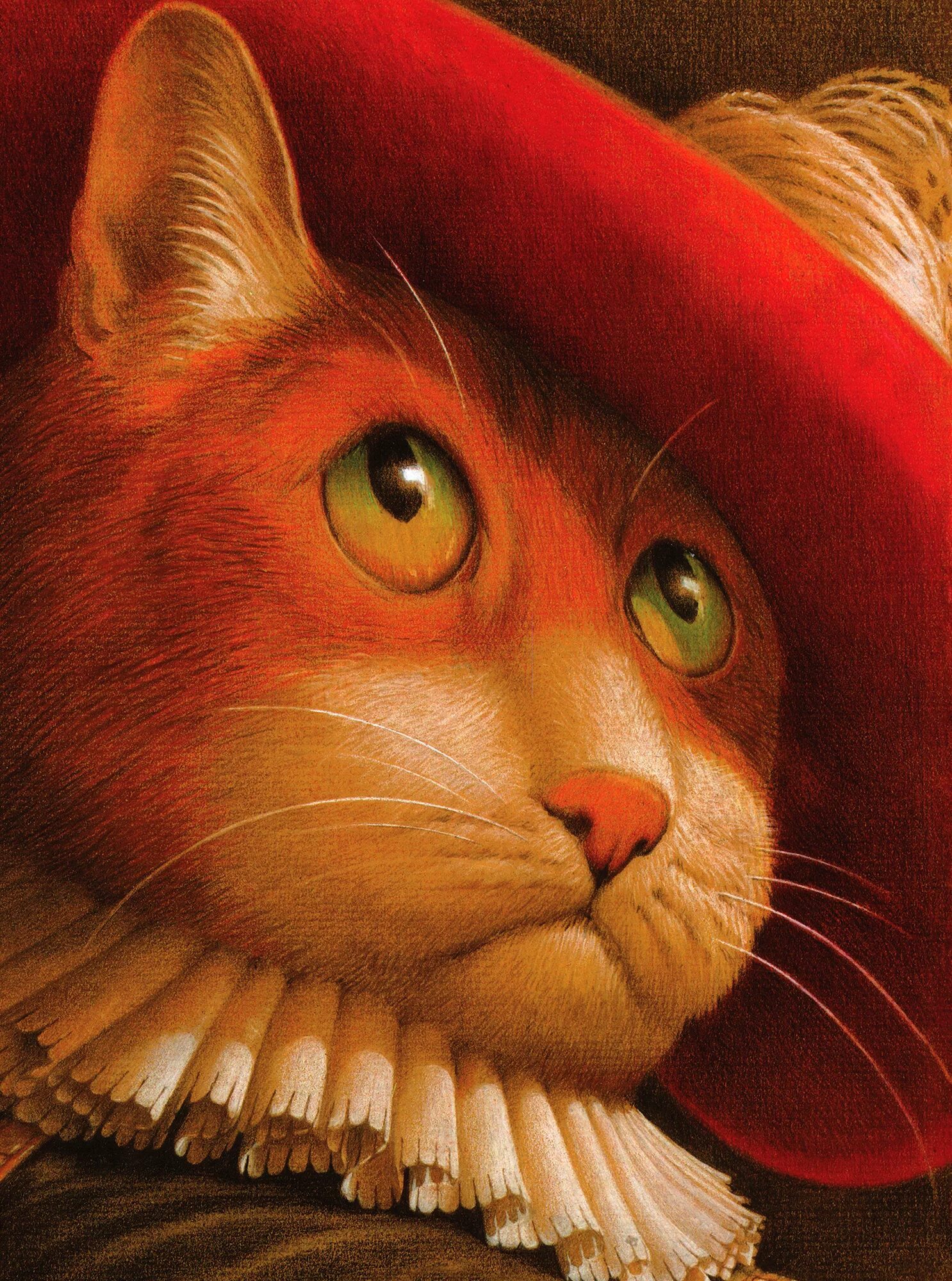 Шарлей кот. Кот в сапогах иллюстрации Фреда Марселлино.