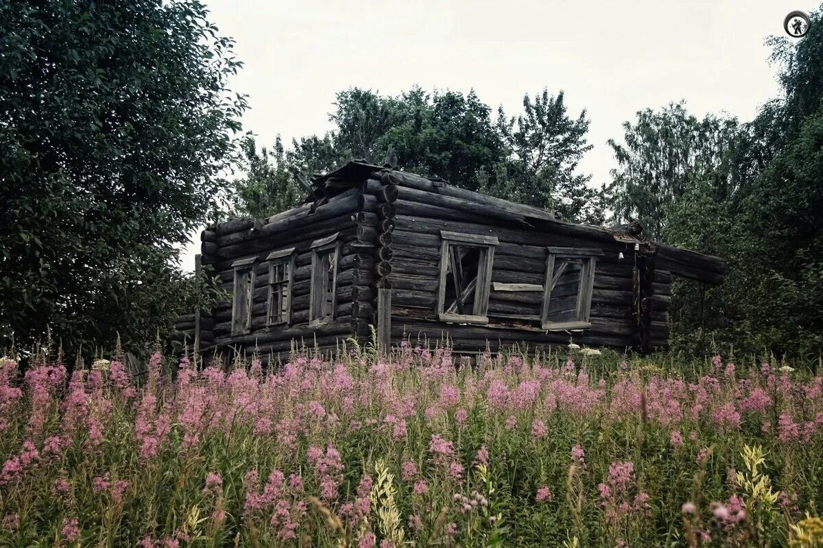 Фраза в деревню в глушь. Глушь Псковская область. Псковская область деревня глушь. Деревенская глушь. Деревня в глуши.