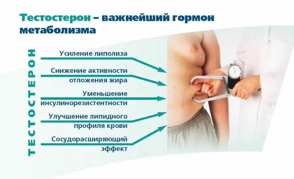 Тестостерон. Тестостерон у женщин. Тестостерон гормон. Важные мужские гормоны.