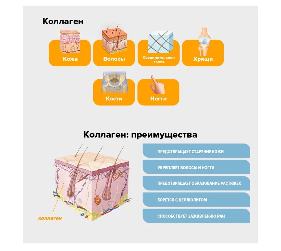 Почему надо пить коллаген. Коллаген преимущества. Для чего нужен коллаген. Чем полезен коллаген. Коллаген нужен для.