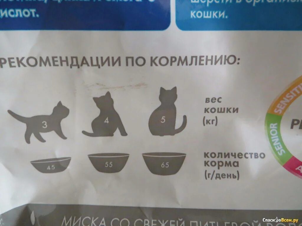 Сколько нужно давать корма кошке в день