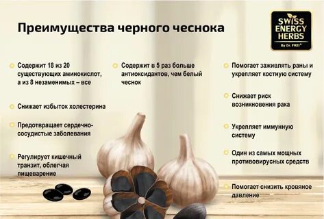 Чеснок польза и вред для организма мужчин