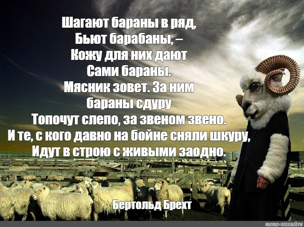 Идут бараны в ряд бьют барабаны. Шагают бараны в ряд. Шагают бараны в ряд, бьют барабаны, - кожу для них дают сами бараны.. Шкуру для них дают сами бараны. Шагают бараны бьют