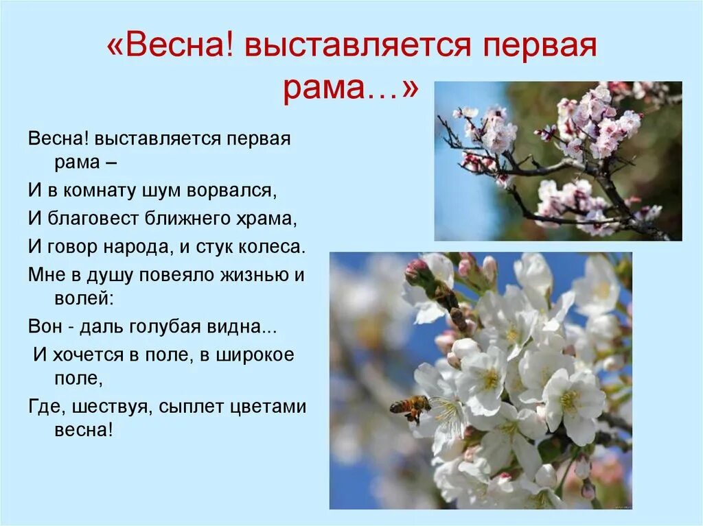 Стих про весну.