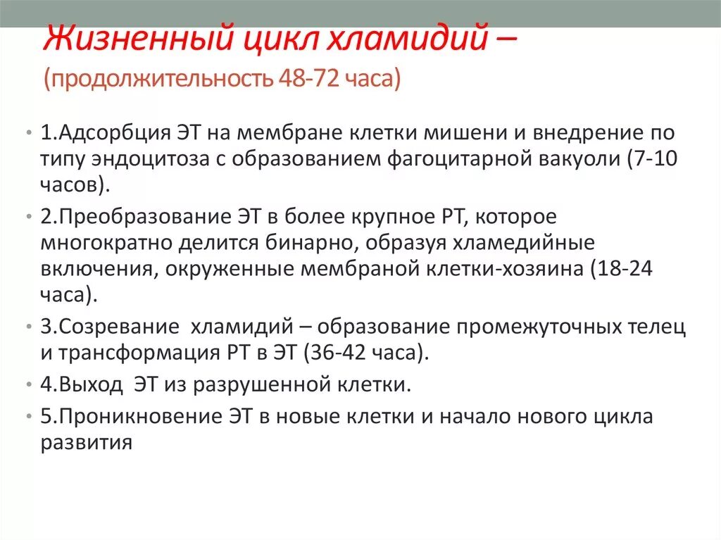 Жизненный цикл хламидий. Цикл развития хламидий. Схема жизненного цикла хламидии. Cхема репродуктивного цикла хламидий. Этапы цикла развития хламидий.