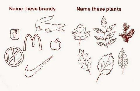 Name these