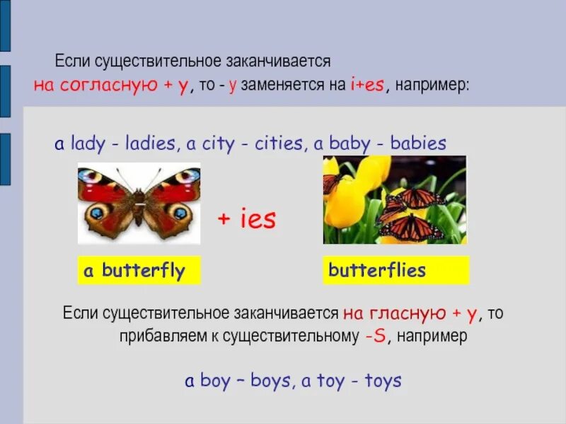 Множественное число IES В английском. S es IES правило существительные. Множественное число es IES правило. Множественное число существительных в английском языке y. Toy во множественном