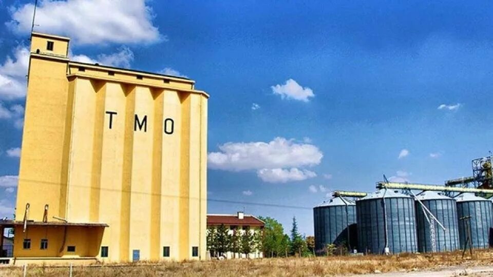 T me tmo logs грузия. Tmo. tmo группа. serie tmo.