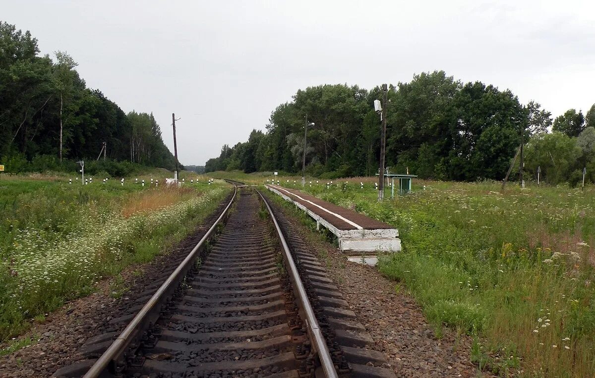 Погода село вяземский. Вяземский район Смоленская область. Новое село Вяземский район Смоленской области. Смоленская область Вяземский район село Туманово. Деревня Шуйское Смоленская область Вяземский район.