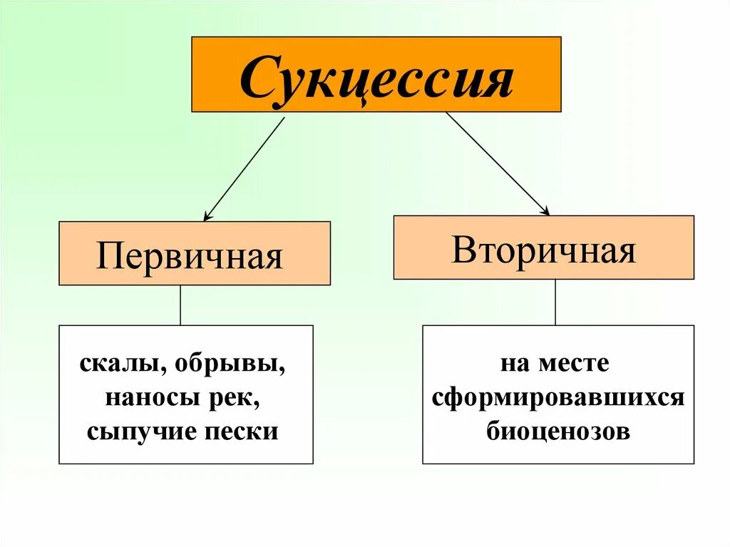 Различия первичной и вторичной сукцессии. Первичная сукцессия это в биологии 9 класс. Схема сукцессии первичной и вторичной. Первичная сукцессия и вторичная сукцессия таблица. Экологическая сукцессия первичная и вторичная.