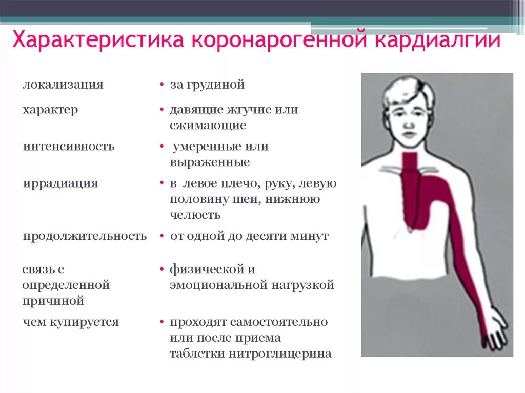 Заболевания локализация боли. Характеристика болей за грудиной. Характеристика кардиалгии. Дифференциальный диагноз болей в грудной клетке. Кардиалгия характер боли.