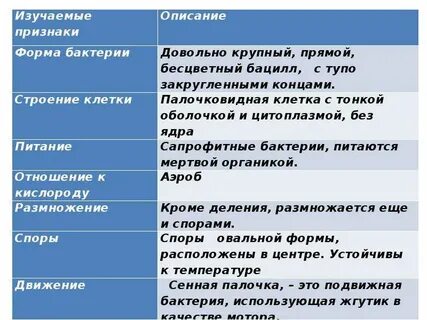 Сенная палочка для человека