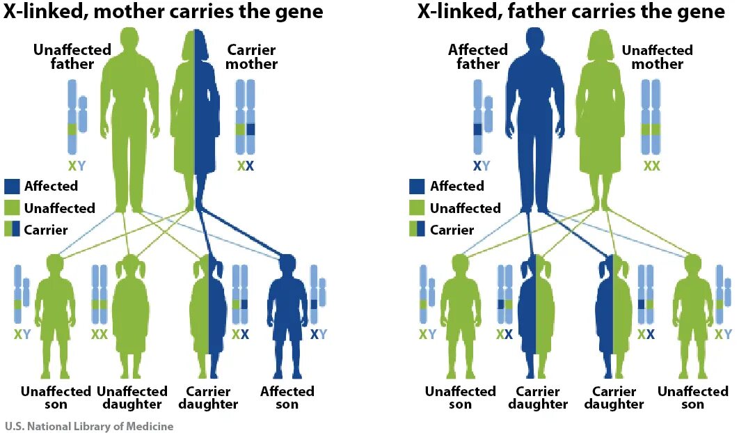 Рамштайн муттер. Мутертаг открытки. Женщина с ребенком. He mutters. Мама с ребёнком на руках.