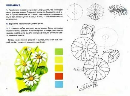 Конспект цветов