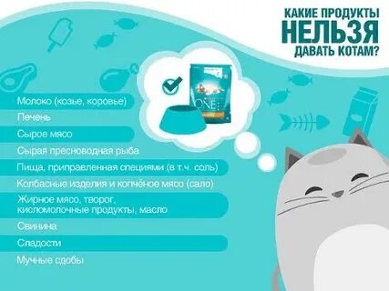 Можно ли котенку сырую печень
