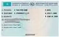 Документа 2012