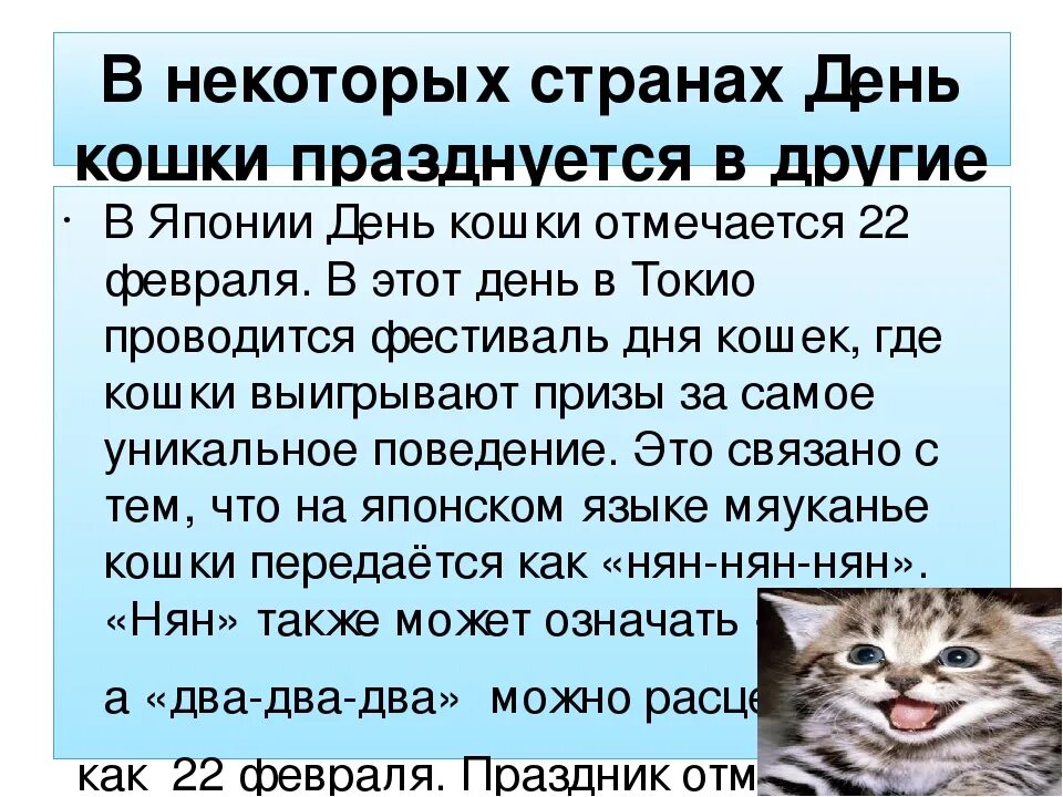 Дружелюбный кот. Кошки мероприятия. Всемирный день кошек. 10 дней для кошки. Кошки и коробки.