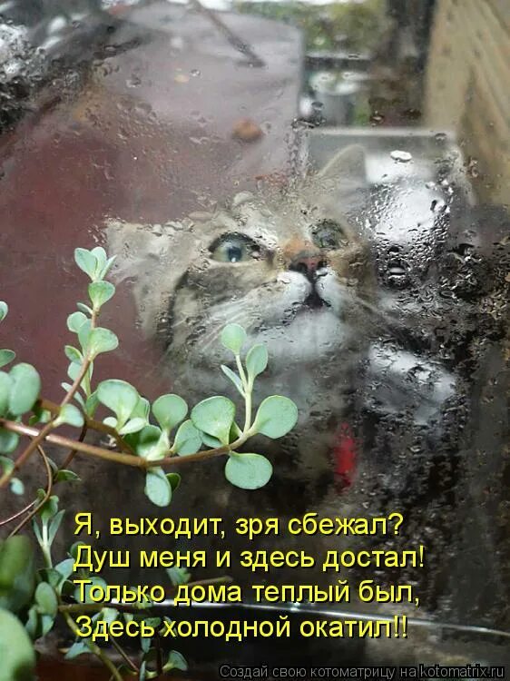 Здесь холодно здесь дорого текст. Здесь холодно здесь дорого текст. Заброшенная школа териберка граффити. Холодный ад. Здесь холодно здесь дорого текст.