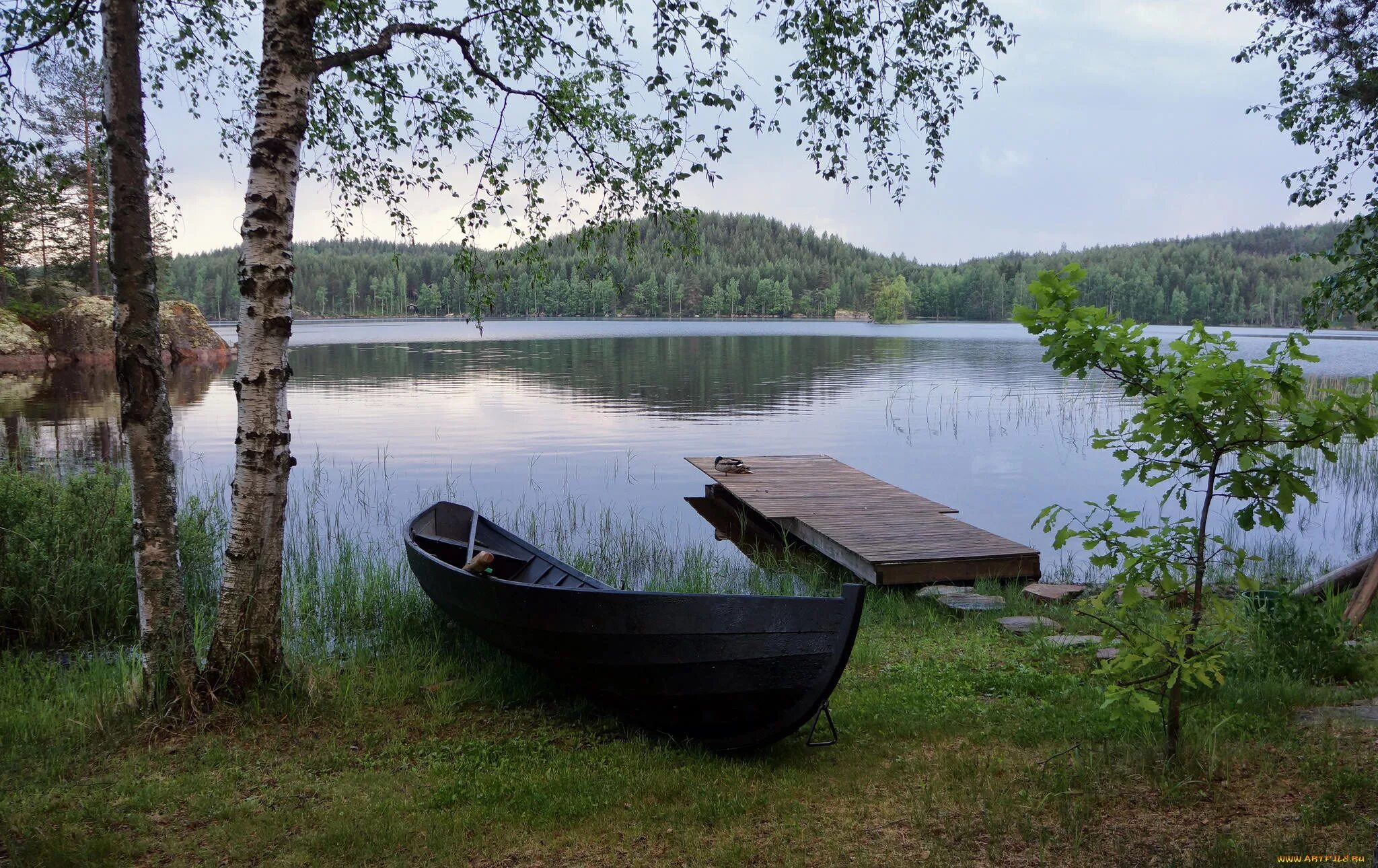 Березовая лодка