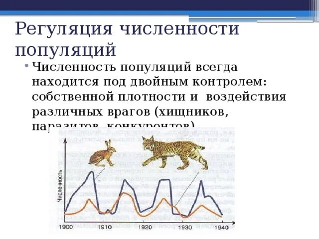 Схема регуляции численности популяции. Механизмы регуляции численности популяции. Регуляция численности популяции это в биологии. Колебания численности популяции. Изменение численности особей популяции называют