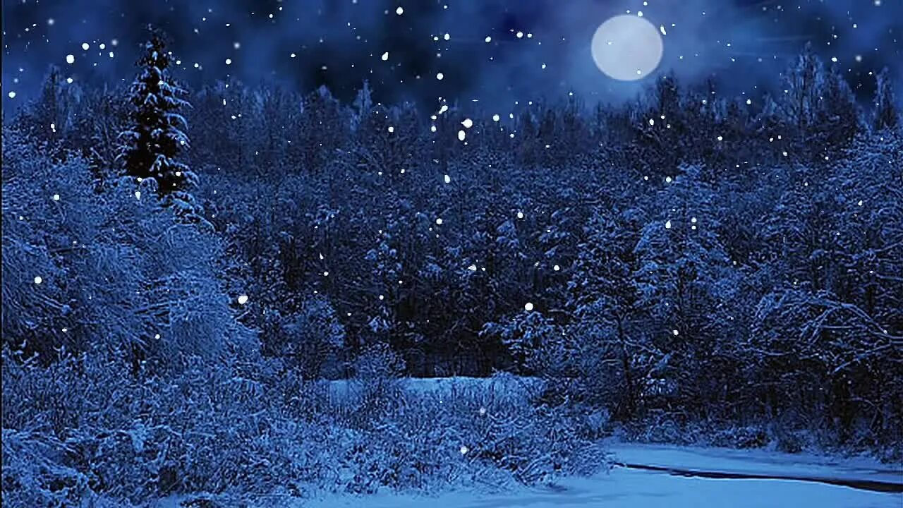 Ночь и даль седая