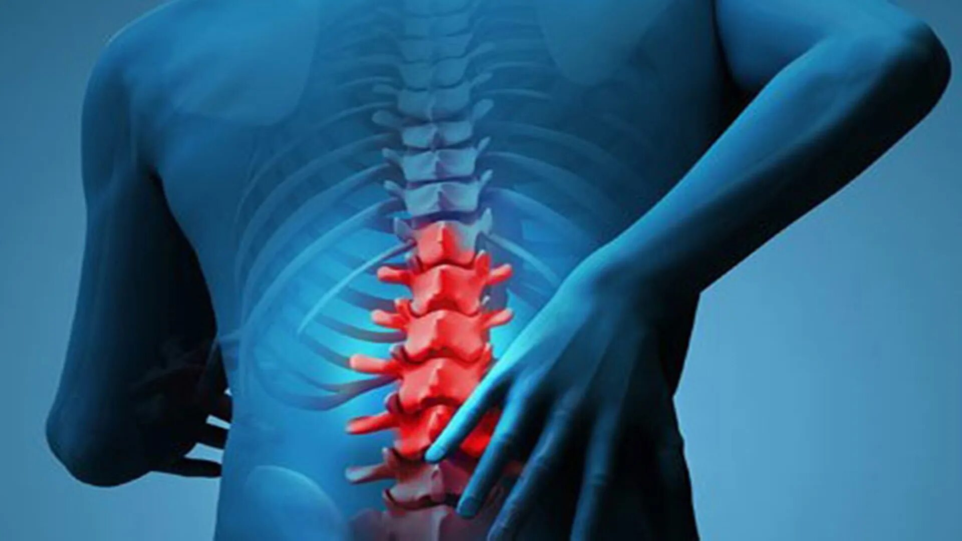 Download Spine - Lumbar Vertebral Column Png Image With No Vertebra Lumbar Png,S