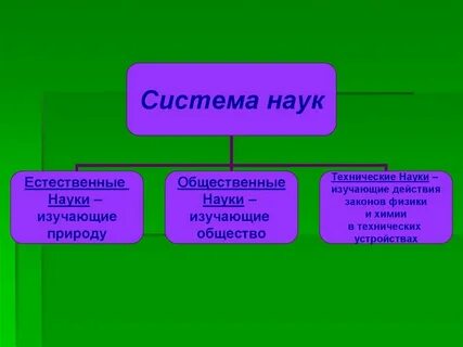 Общественные и естественные системы