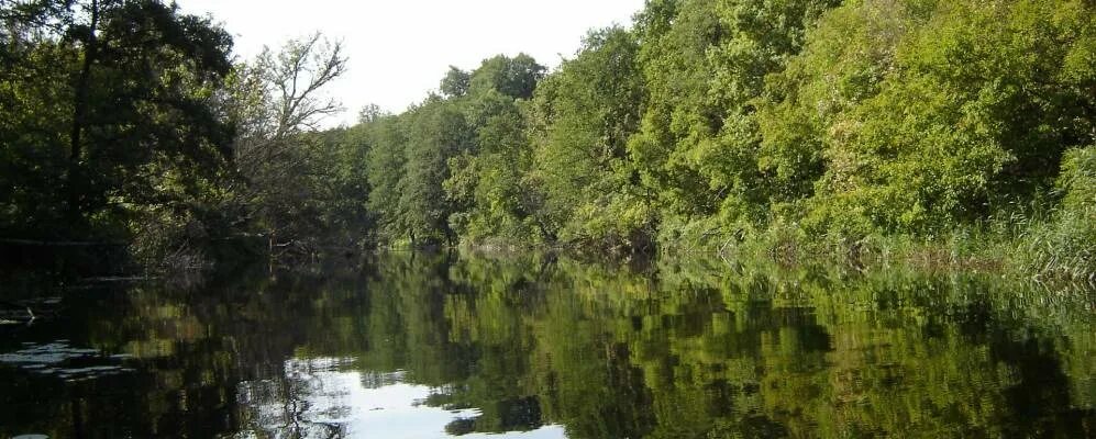 Никольское аннинский воронежская область