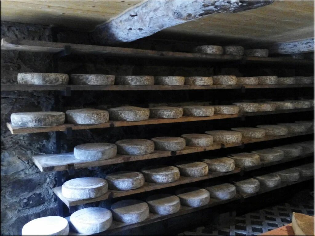 Крестьянская слобода стерлигова. Сыр стерлигова. Деревня слобода германа стерлигова. Сыр стерлигова. Сыроварня русский пармезан.