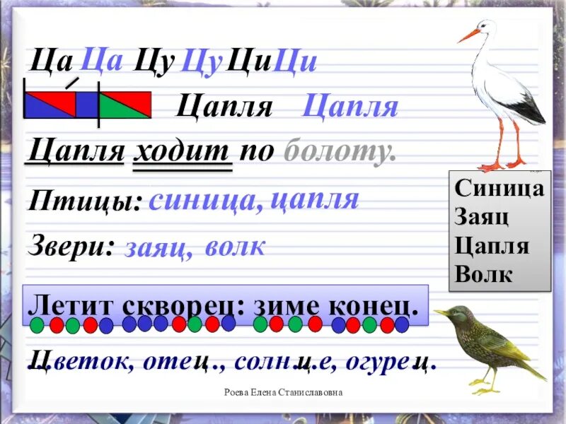 Скворец количество звуков. Предложения с буквой ц. Письмо ькквы ц. Буква ц урок. Схемы слов с буквой ц.